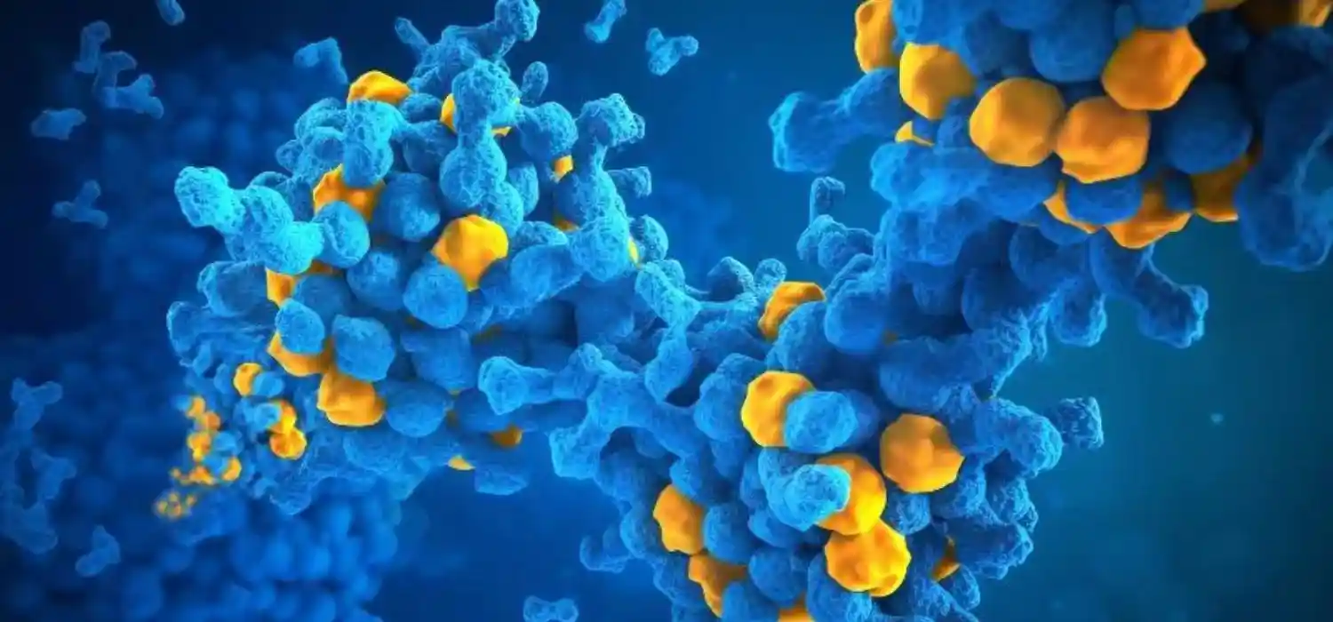 Monomers & Building Blocks